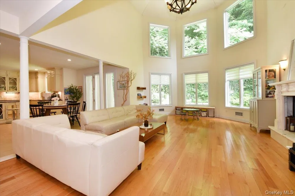 245 Harbor Hill Road East Hills, NY 11576