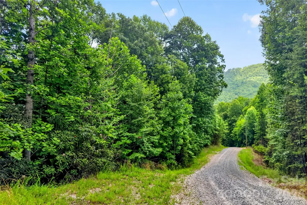 213 Mitchell View #213MV Old Fort, NC 28762
