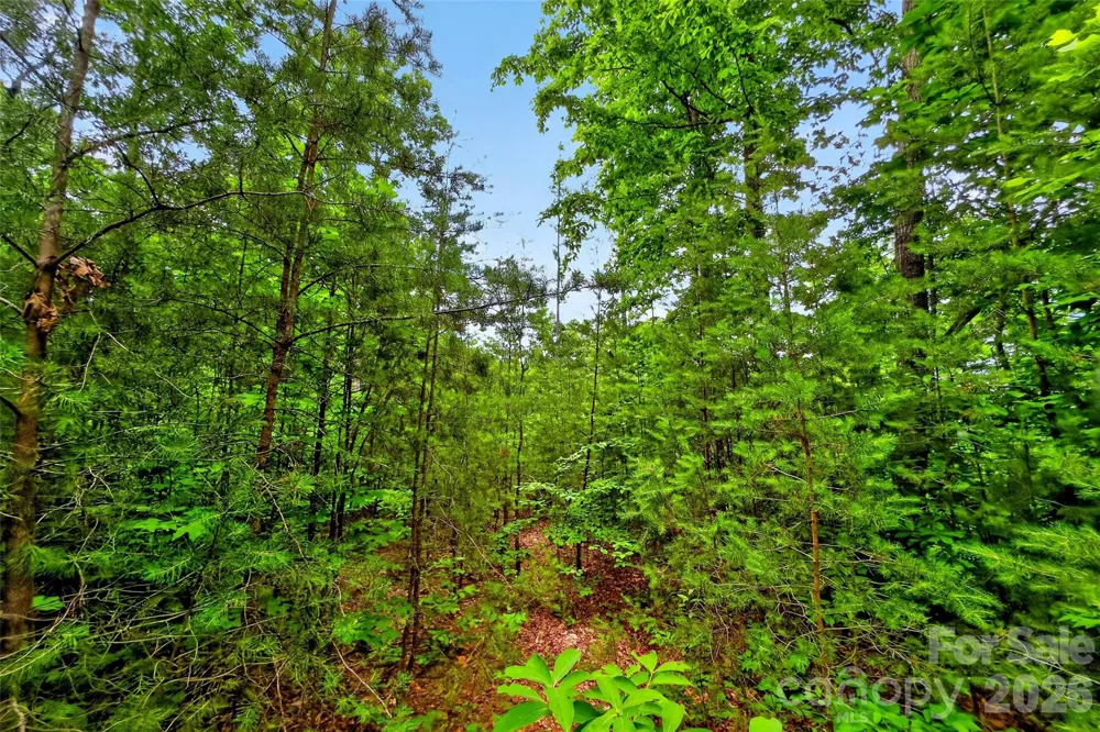 213 Mitchell View #213MV Old Fort, NC 28762