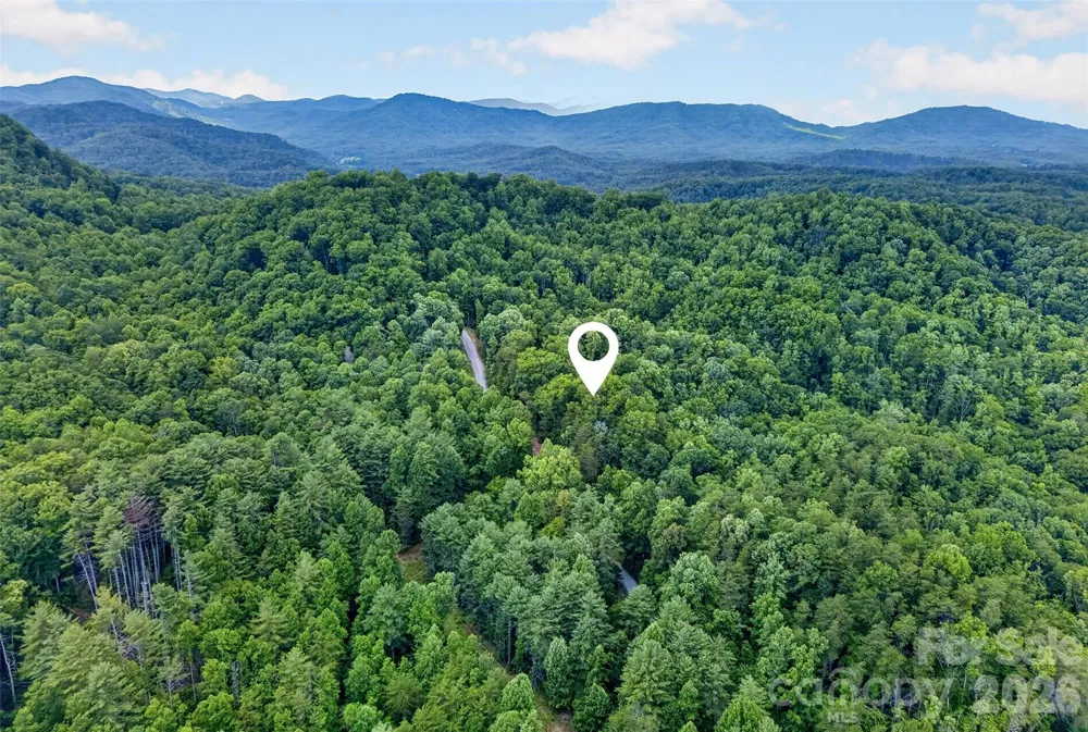 213 Mitchell View #213MV Old Fort, NC 28762