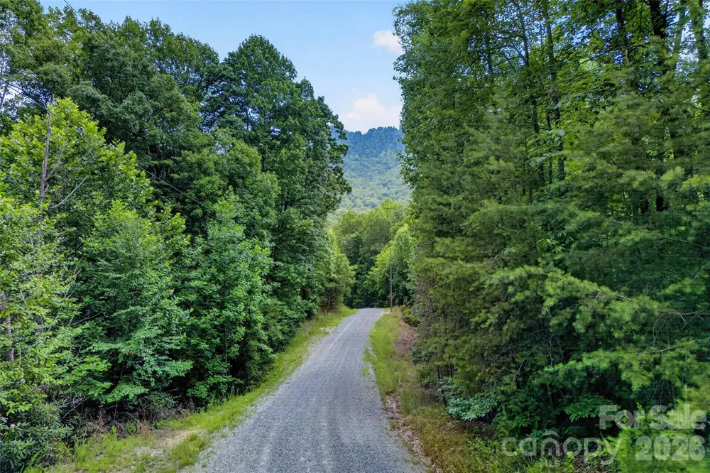 213 Mitchell View #213MV Old Fort, NC 28762