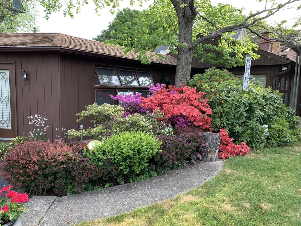 51 Pine Street South Haven City, MI 49090