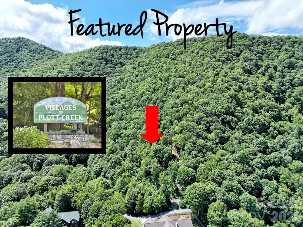 00 Rising Sun Road #338 Waynesville, NC 28786