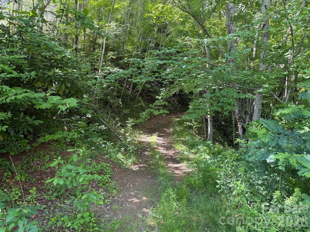 00 Rising Sun Road #338 Waynesville, NC 28786