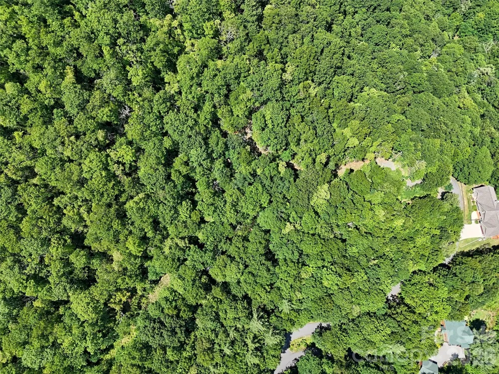 00 Rising Sun Road #338 Waynesville, NC 28786