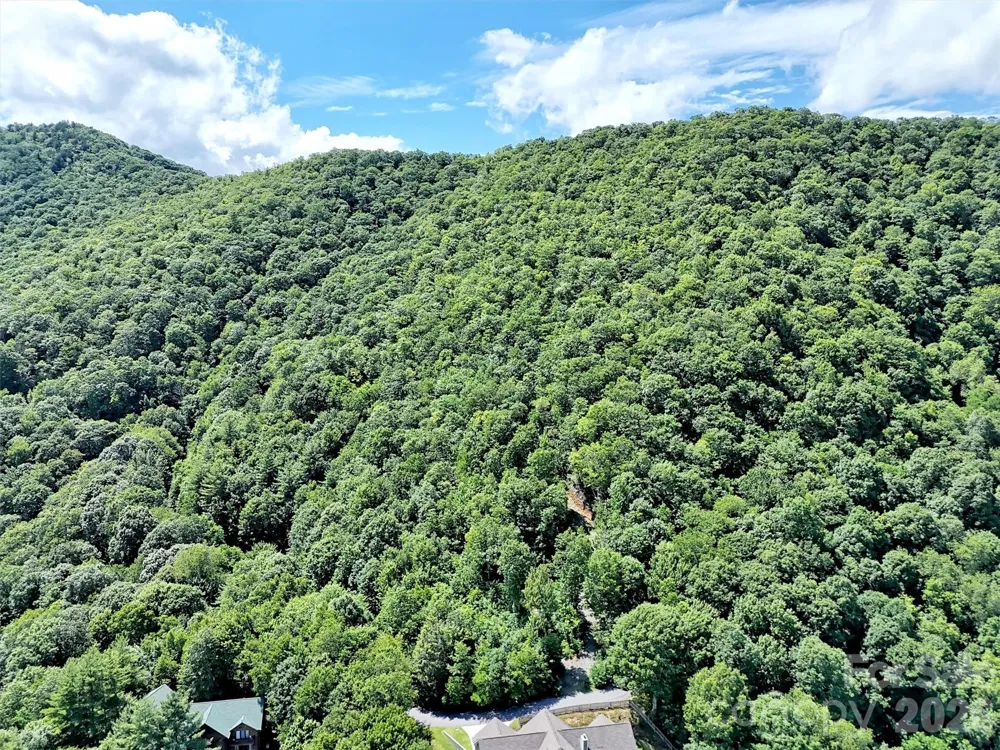 00 Rising Sun Road #338 Waynesville, NC 28786