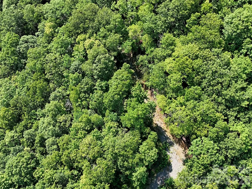 00 Rising Sun Road #338 Waynesville, NC 28786