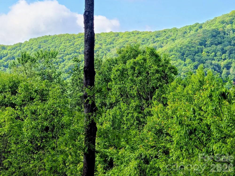 00 Rising Sun Road #338 Waynesville, NC 28786