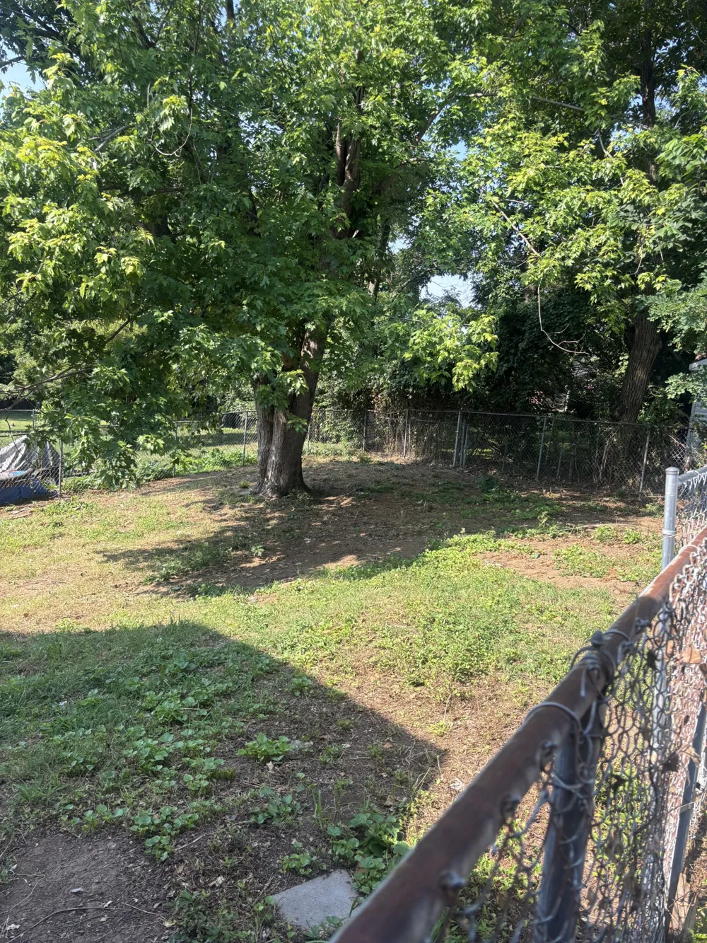 221 Bonnavue Dr Hermitage, TN 37076