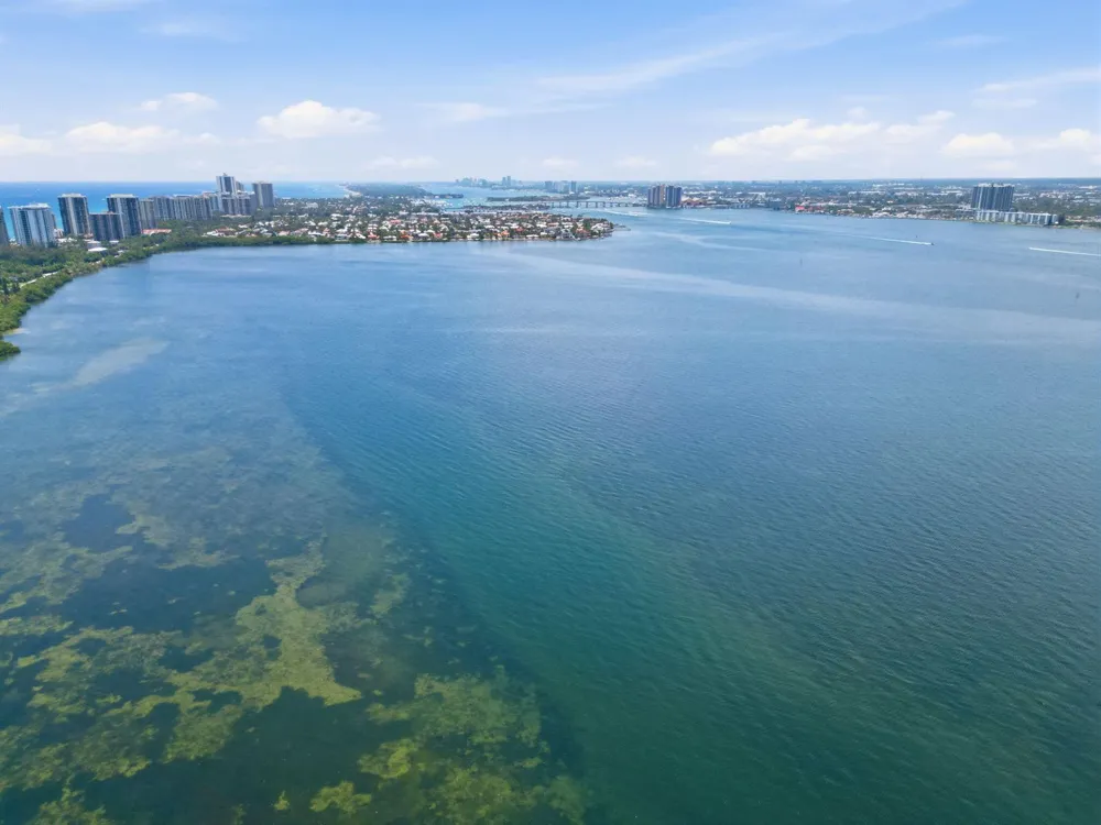 5460 Ocean Drive #6a Riviera Beach, FL 33404