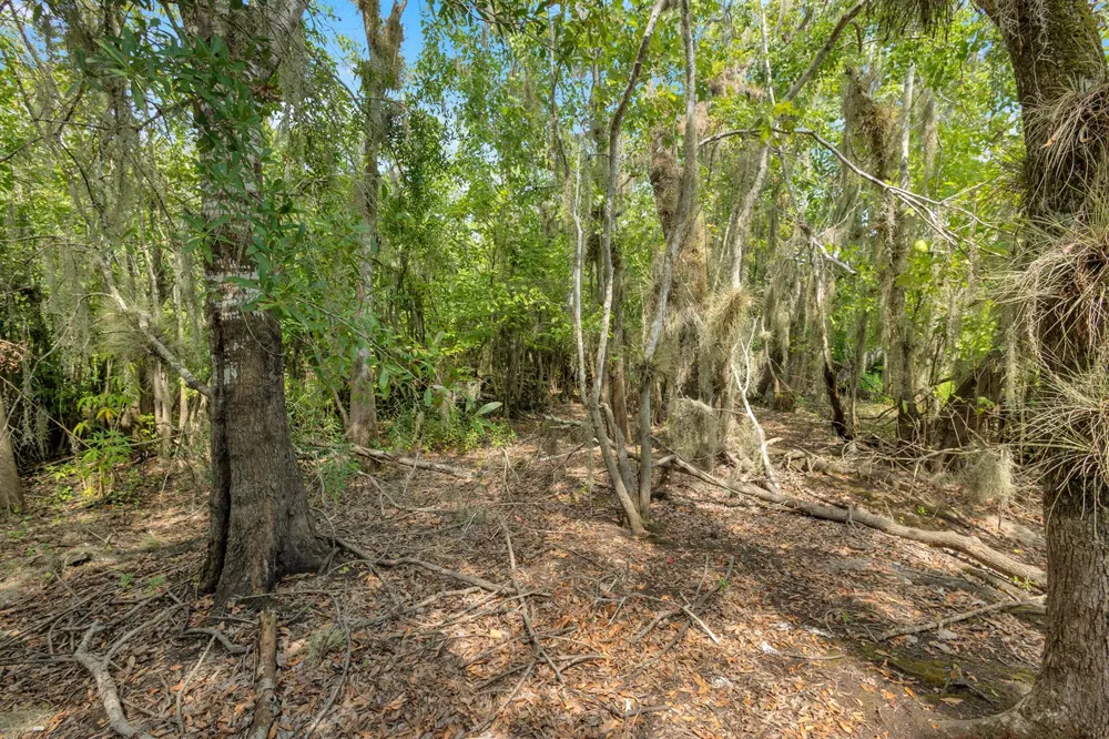 Cummer Road Deland, FL 32720