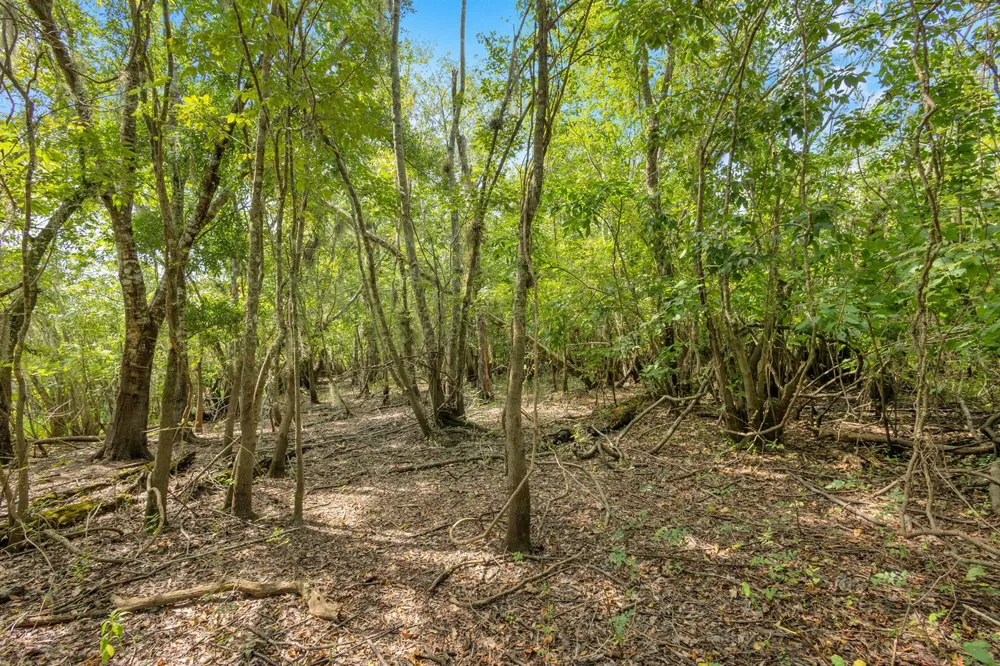 Cummer Road Deland, FL 32720