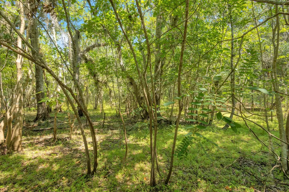 Cummer Road Deland, FL 32720