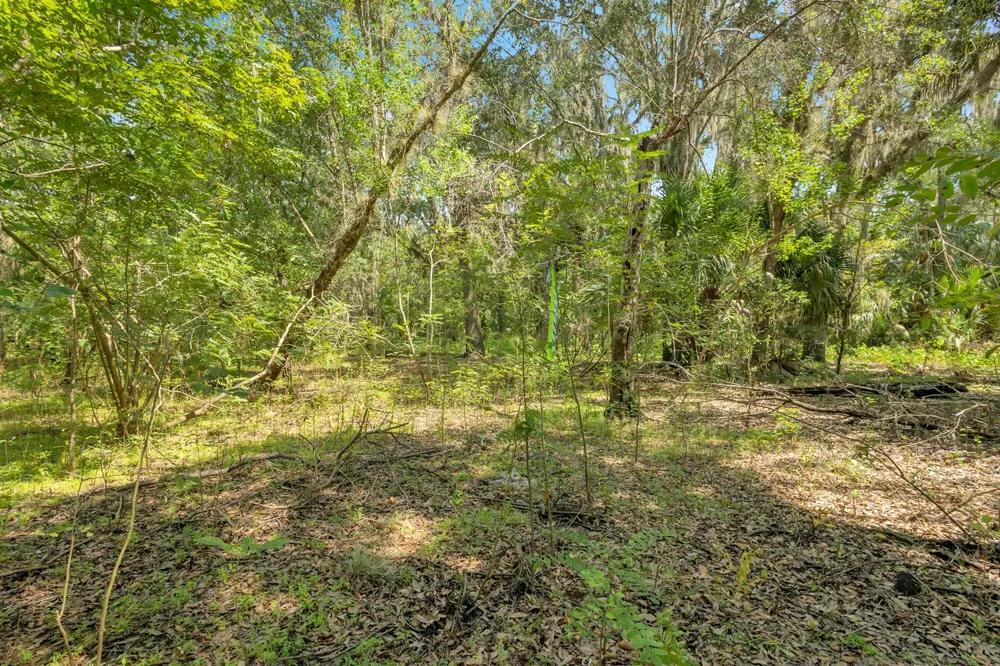 Cummer Road Deland, FL 32720