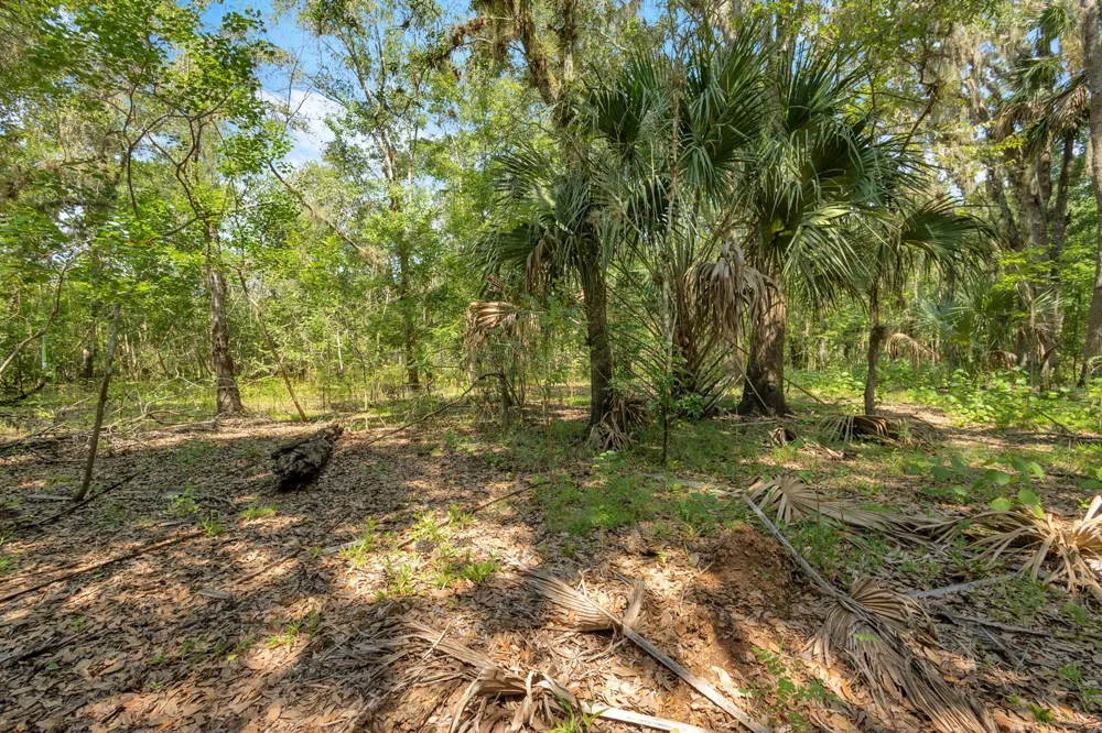 Cummer Road Deland, FL 32720