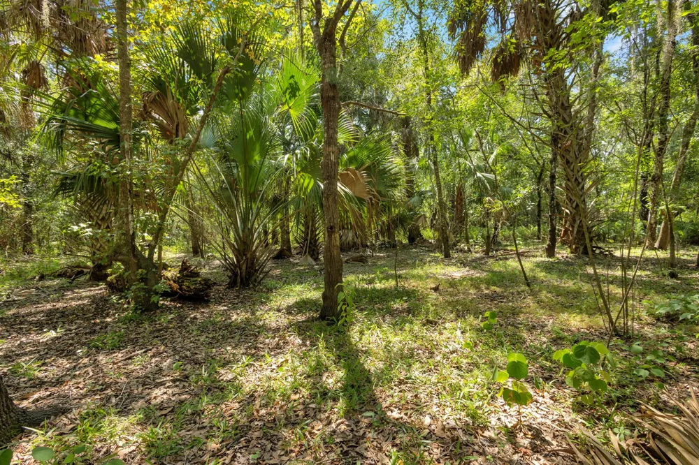 Cummer Road Deland, FL 32720