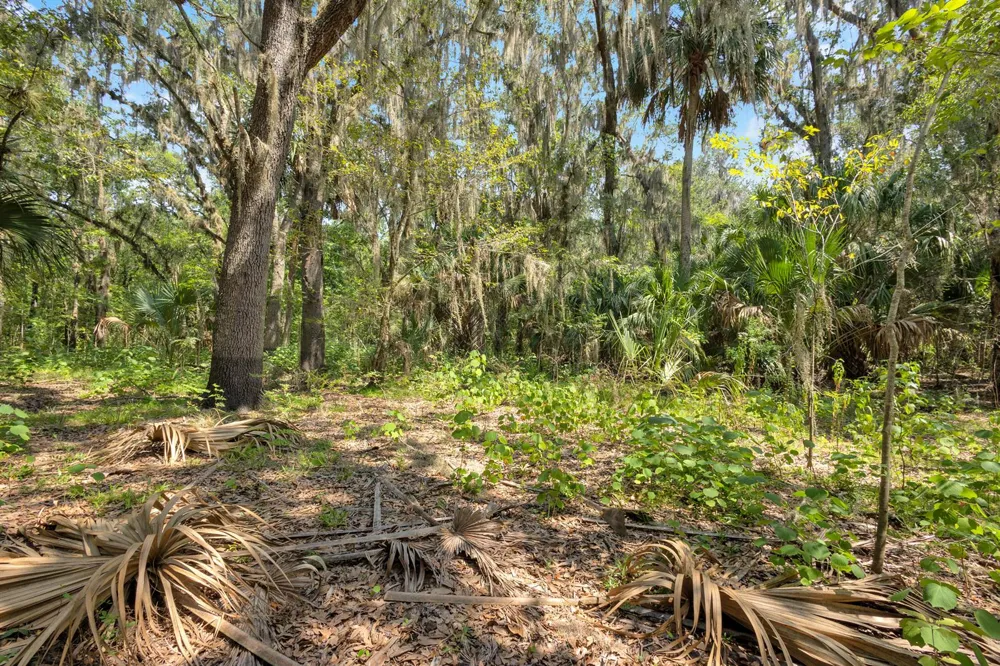 Cummer Road Deland, FL 32720