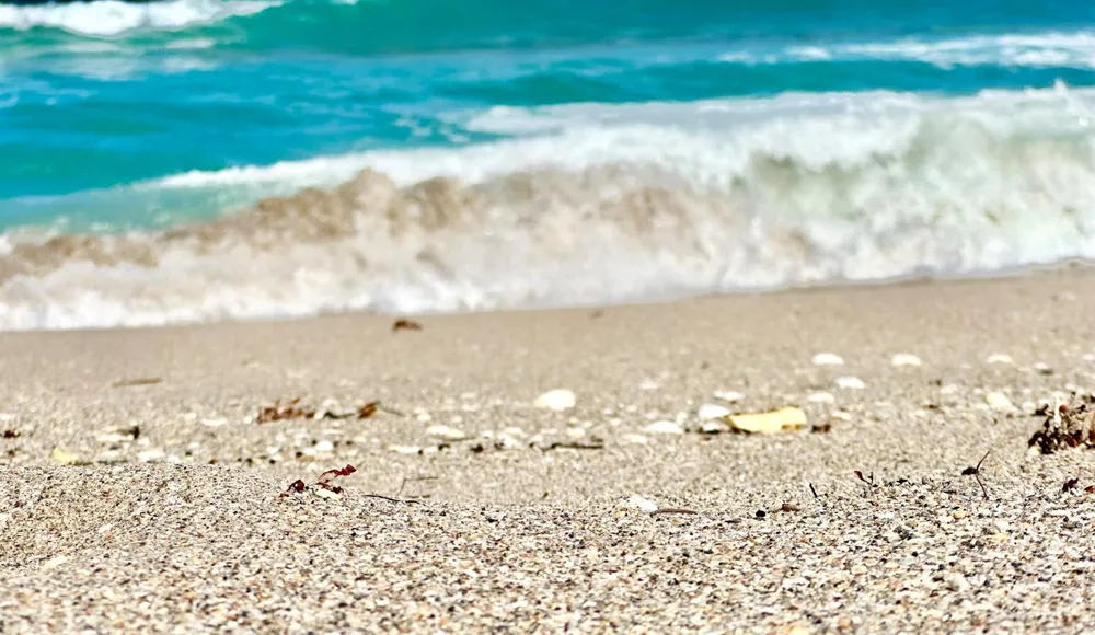 2800 Ocean Drive #B-14-d Singer Island, FL 33404