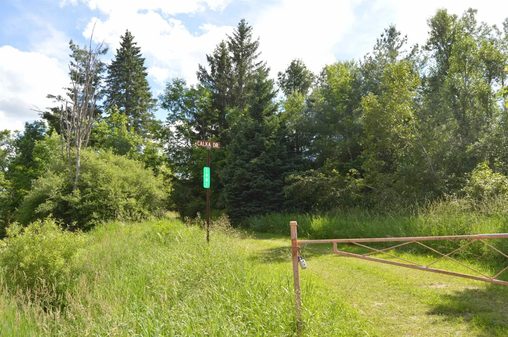 1481 Aspen Alley Road Alcona Township, MI 48728