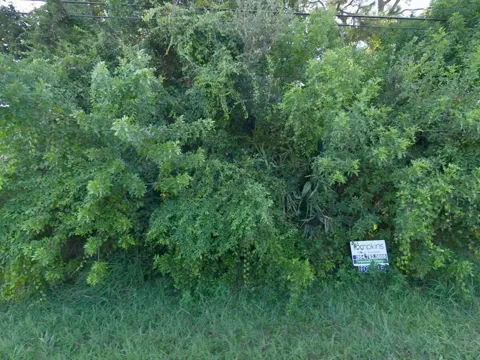 541 SW Cherryhill Road