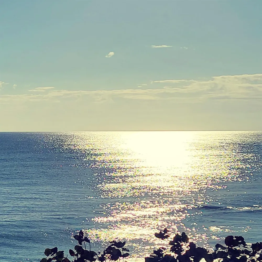 5510 Ocean Drive #2c Singer Island, FL 33404