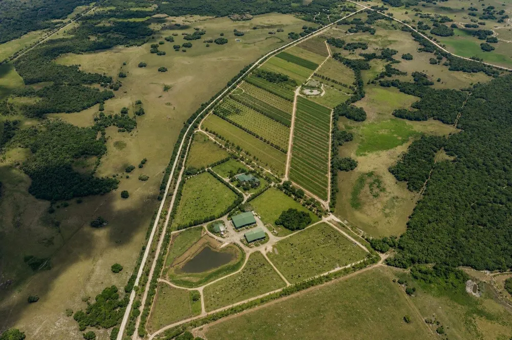 Dooley Grade Road 