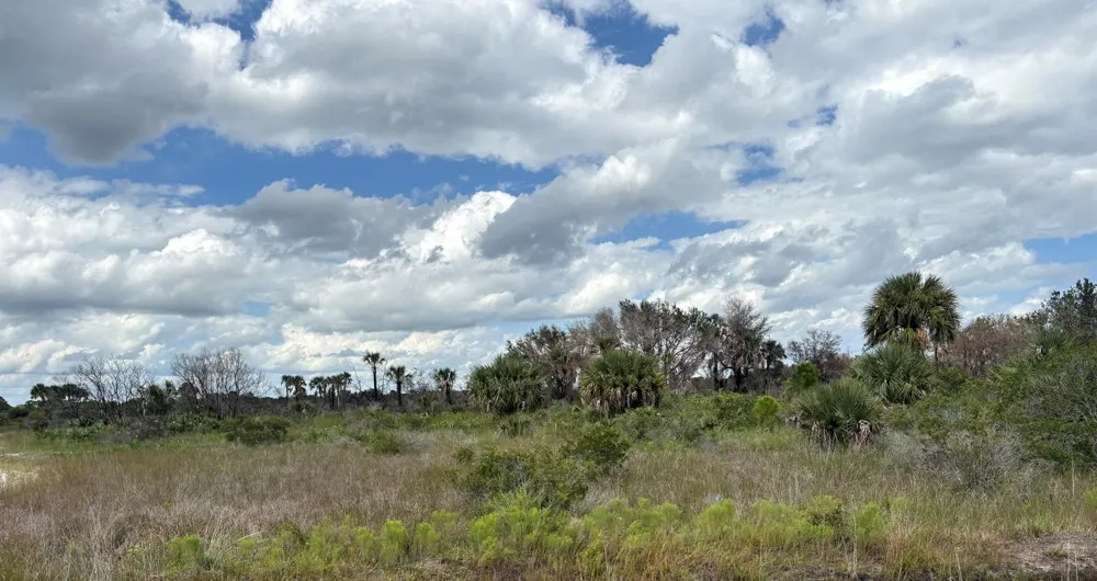 17275 NW 308th Street Okeechobee, FL 34972