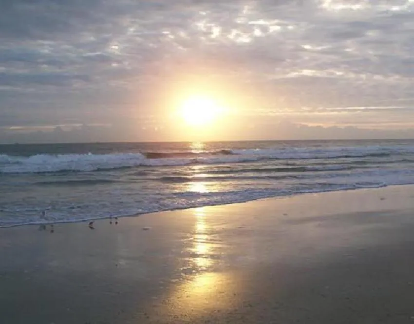 355 S Ocean Drive #602 Hutchinson Island, FL 34949