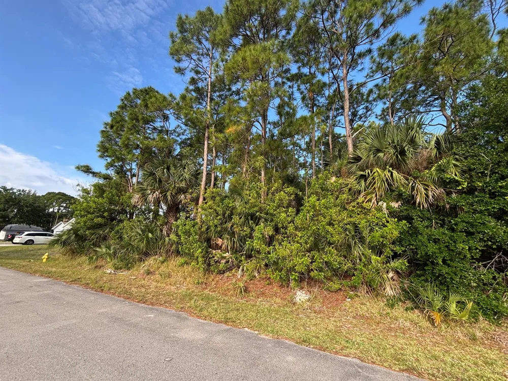 556 NE Burlington Ave Avenue NE Palm Bay, FL 32907