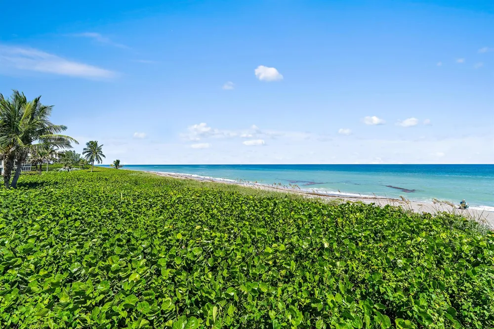 50 Celestial Way #310 Juno Beach, FL 33408