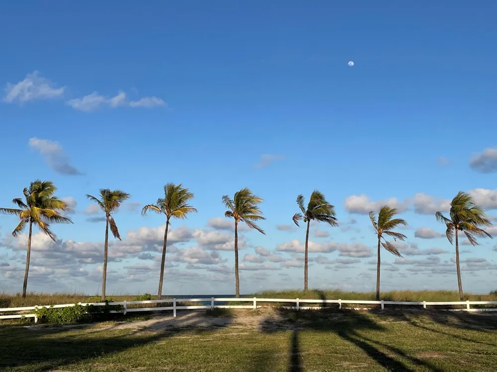 4629 Poinciana Street #317 Lauderdale By The Sea, FL 33308