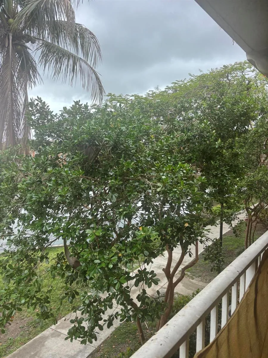 3844 Lyons Road #206 Coconut Creek, FL 33073