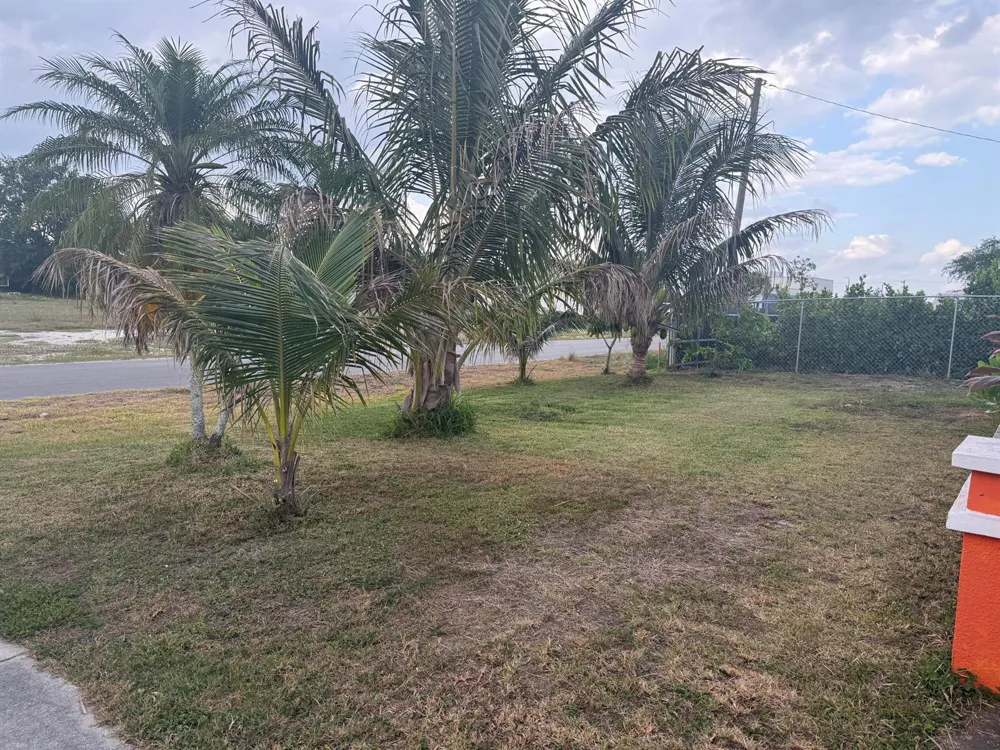 1410 NE 14th Terrace Cape Coral, FL 33909