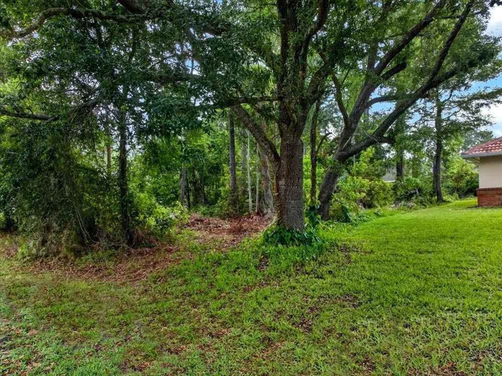 112 Ryberry Drive Palm Coast, FL 32164