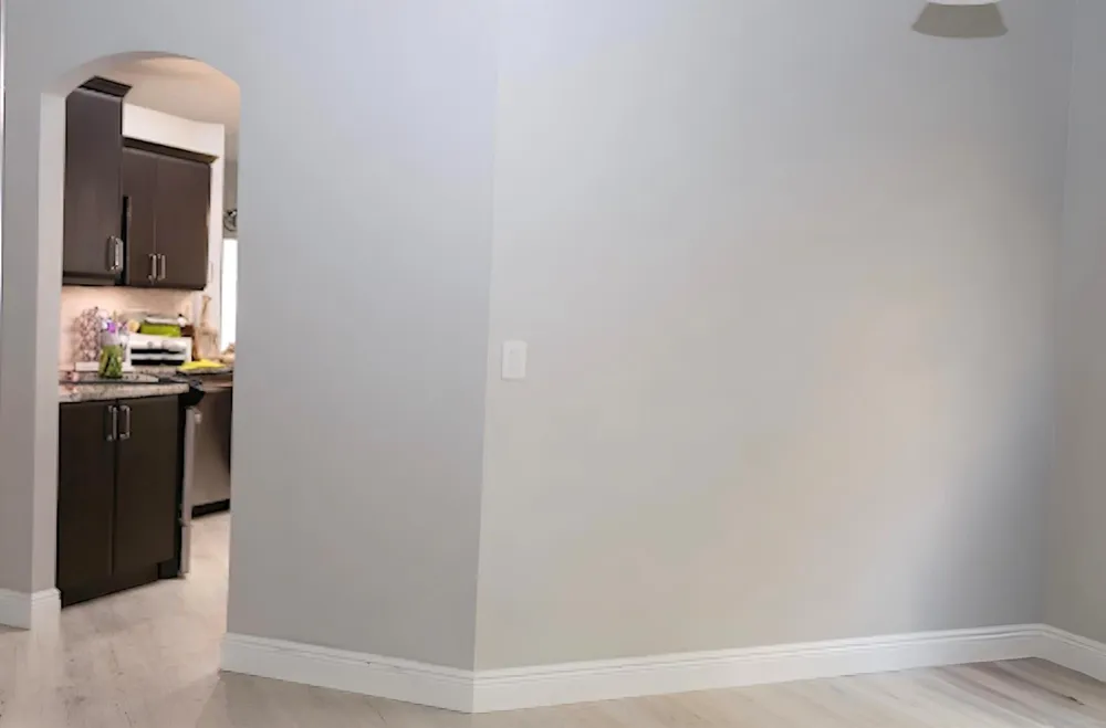 4939 Pelican Street Coconut Creek, FL 33073