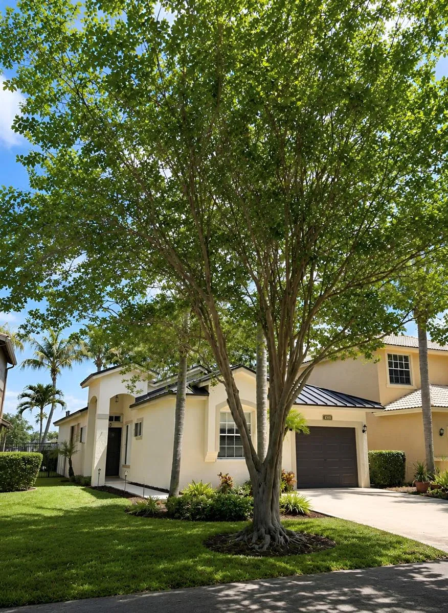4939 Pelican Street Coconut Creek, FL 33073