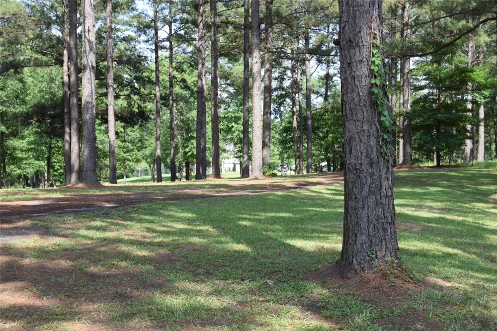 776 Methodist Camp Road Minden, LA 71055