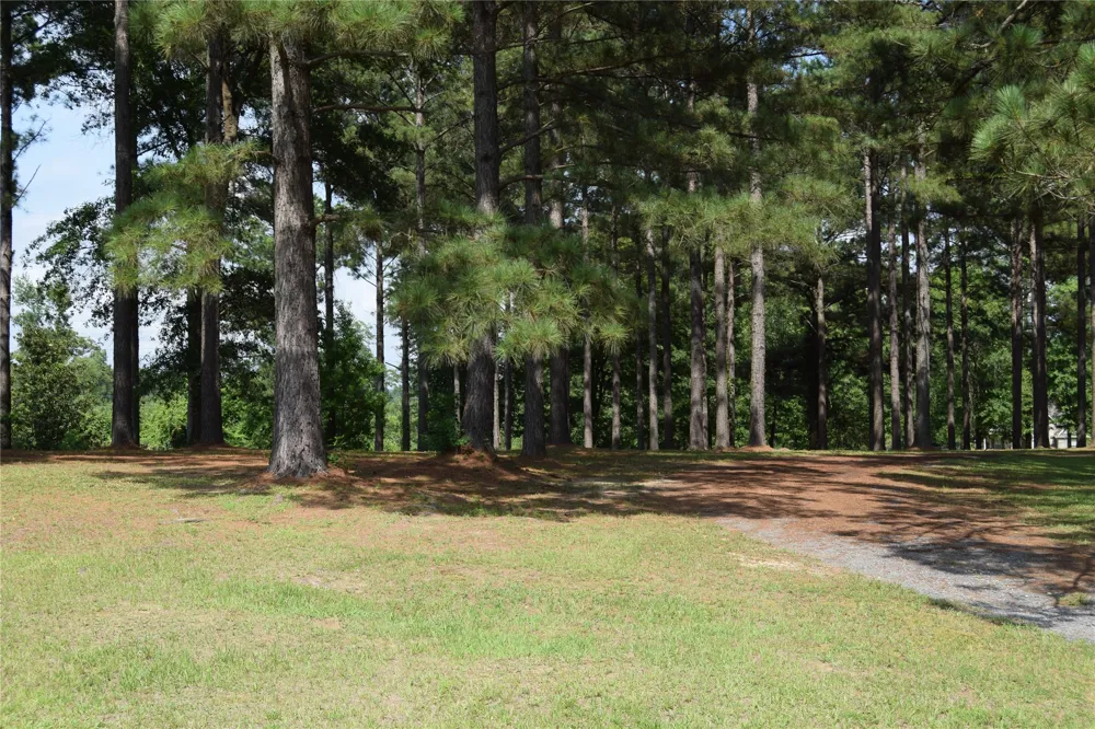 776 Methodist Camp Road Minden, LA 71055