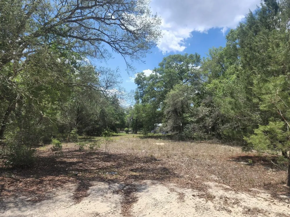 3207 Lich Street Port Charlotte, FL 33980