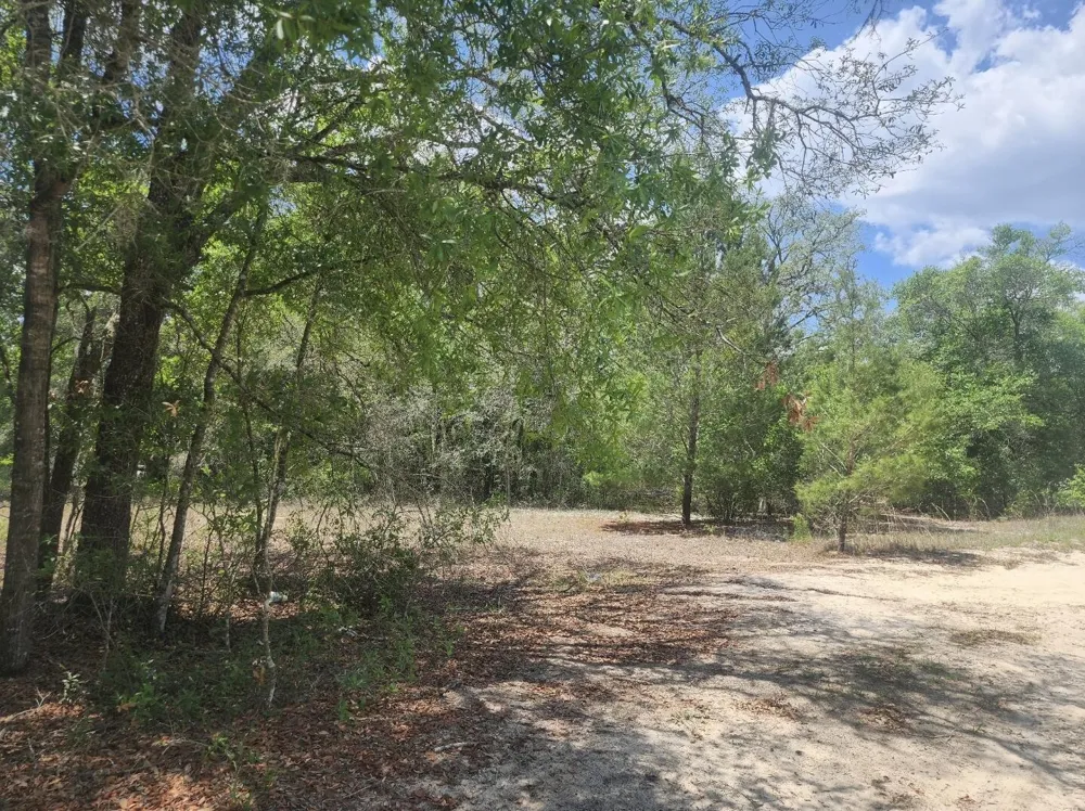 3207 Lich Street Port Charlotte, FL 33980