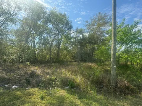 Old Polk City Road