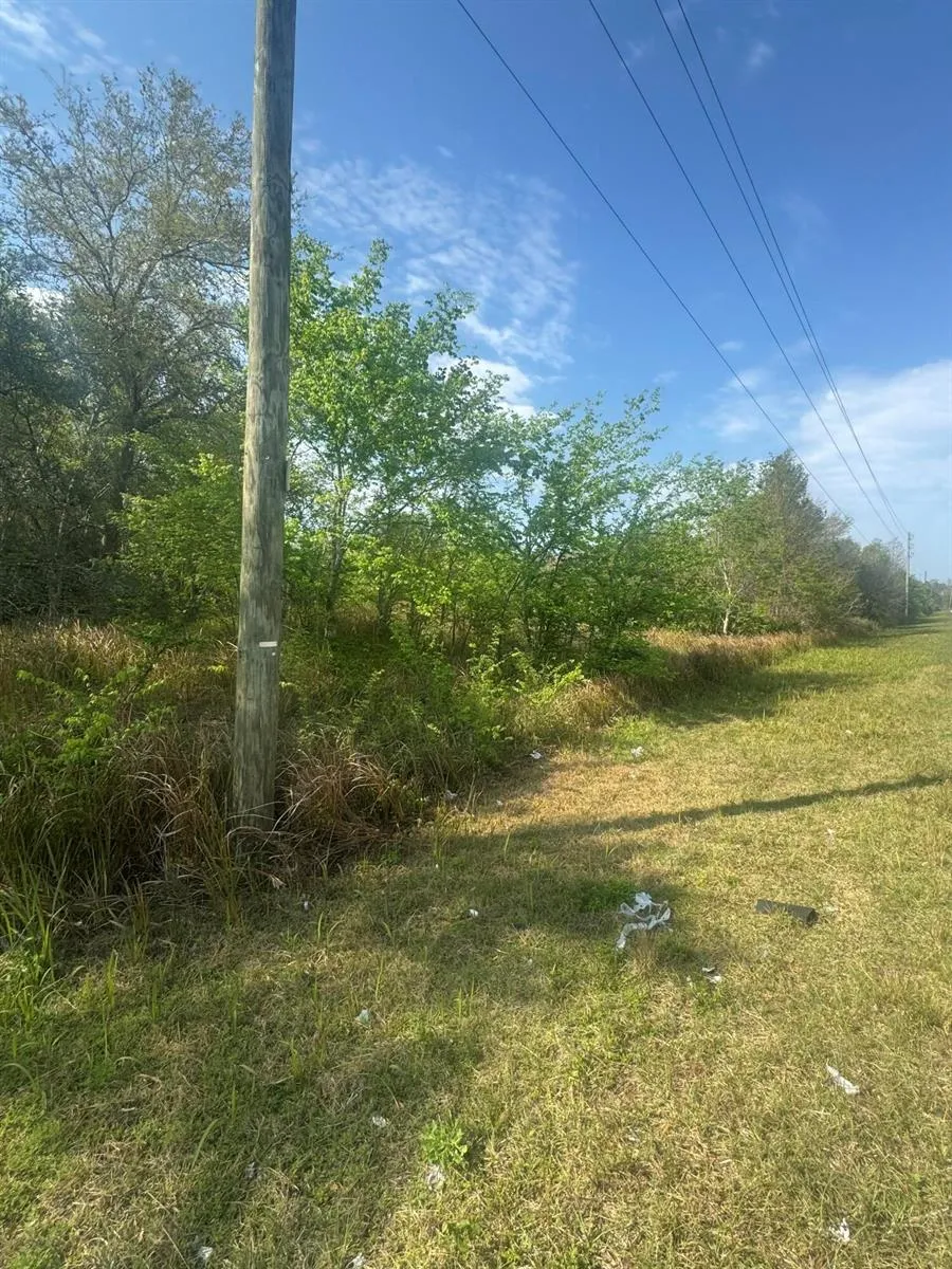 Old Polk City Road 