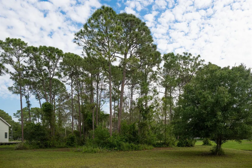 10638 Sugar Pine Drive Fort Pierce, FL 34945
