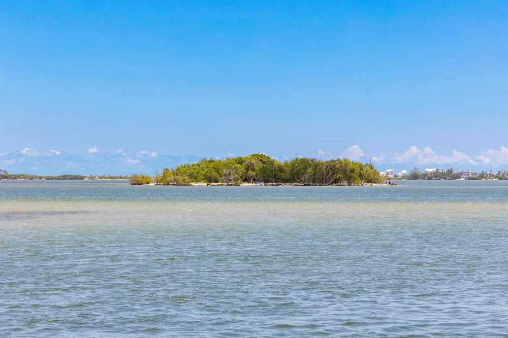 6 Timor Street Sewalls Point, FL 34996