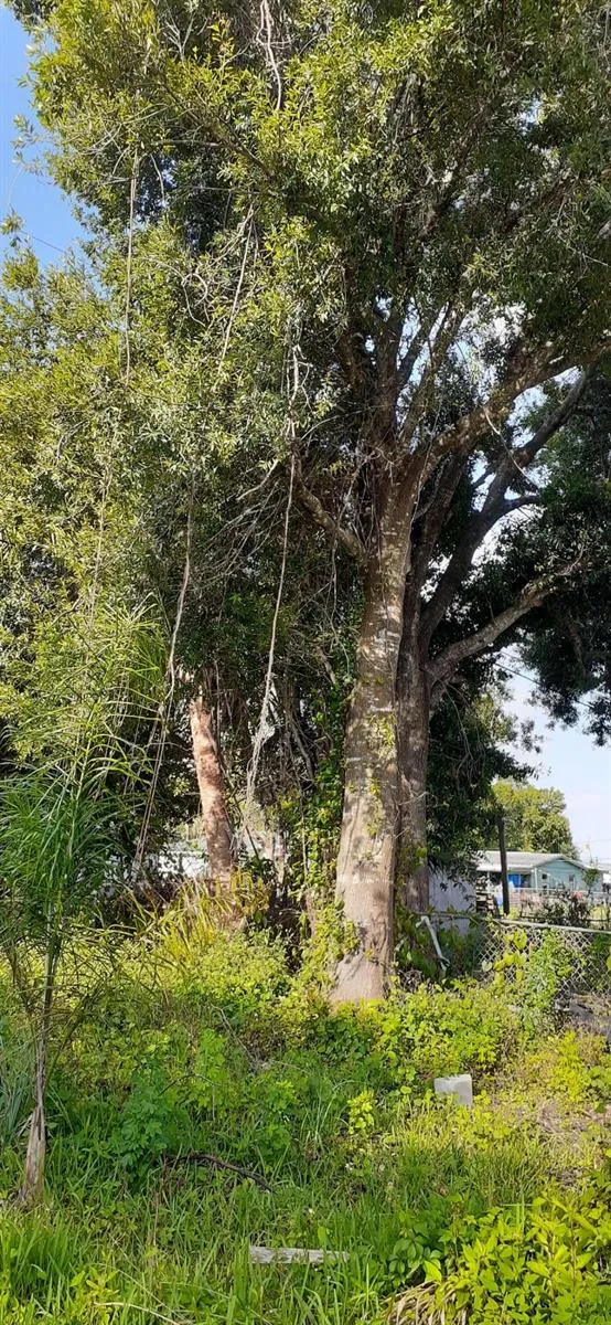 2151 Barbara Avenue Fort Pierce, FL 34982