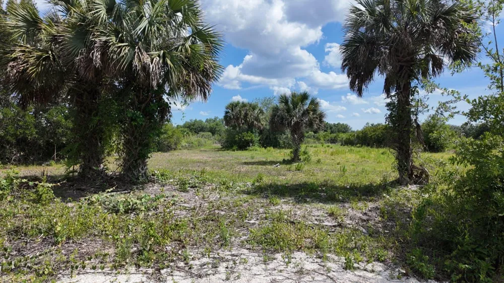 18980 NW 274th Street Okeechobee, FL 34972