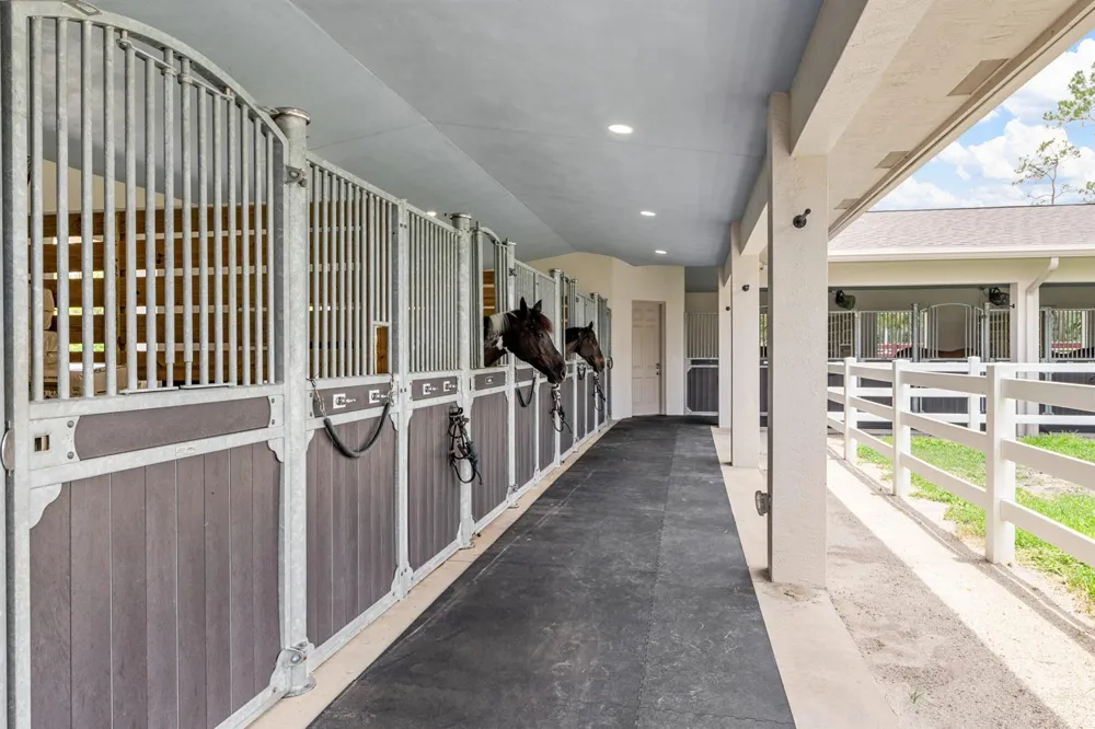 1464 Stallion Drive Loxahatchee, FL 33470