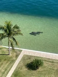 301 Lake Shore Drive #801 Lake Park, FL 33403