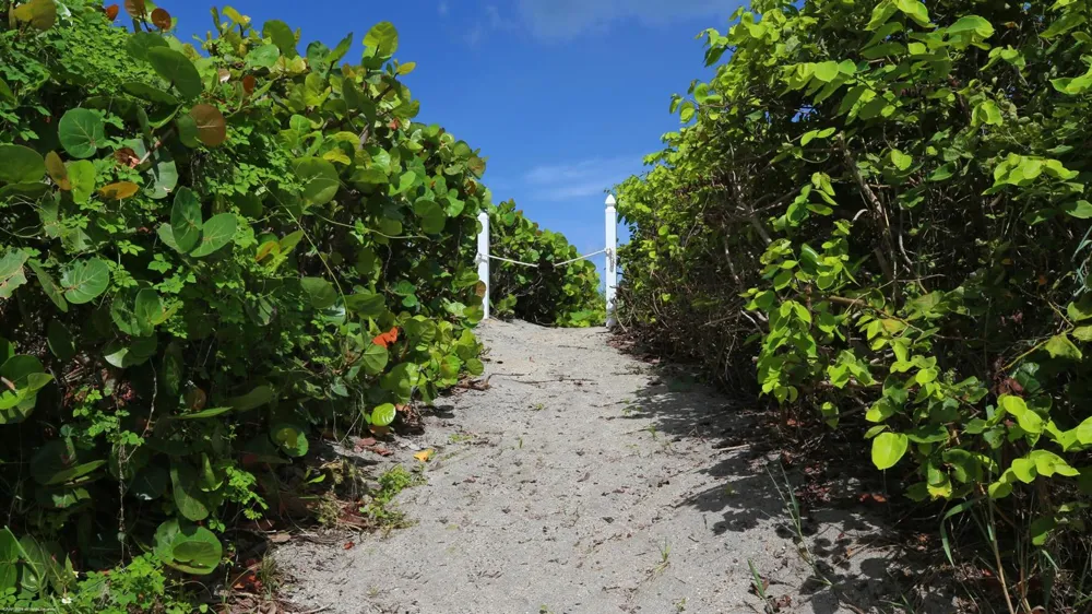 162 Beach Road Jupiter Island, FL 33455