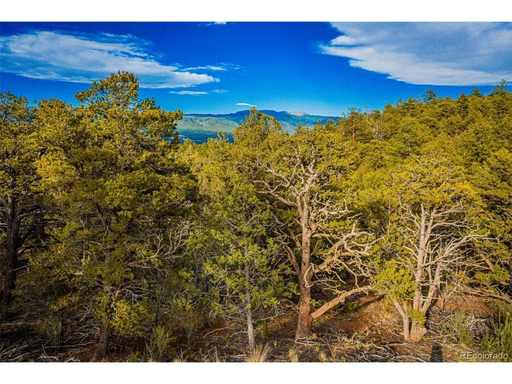 Address Not Shown Gardner, CO 81040